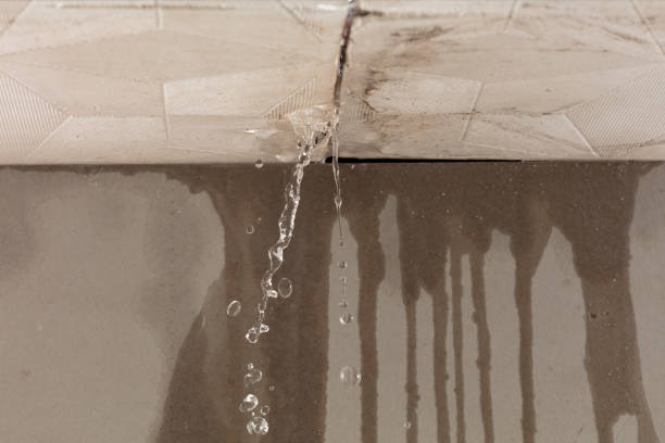 Professional Water Damage Repair technician working in Rowlett, TX